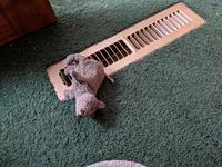 A toy mouse lays atop a heating vent